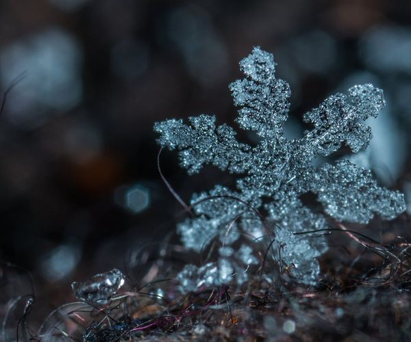 Symmetric ice crystals representing balance and focus